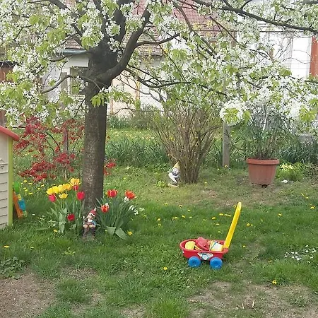 Apartman álom Kuckó *