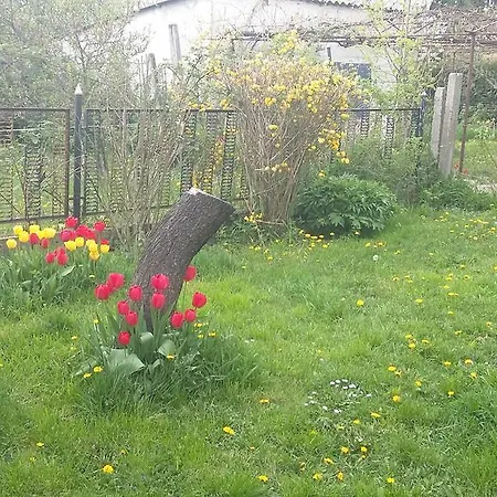 Lägenhet Alom Kucko *