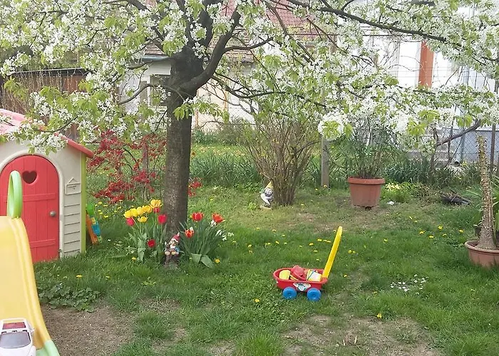 Апартаменты Alom Kucko *