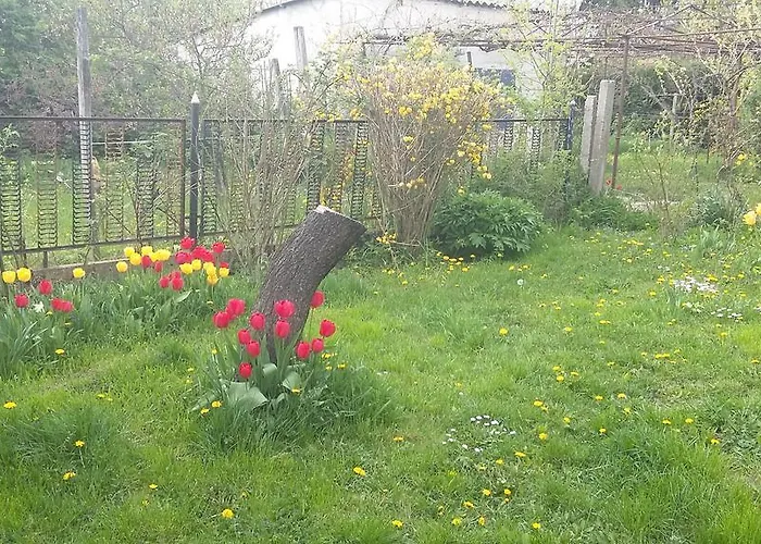 Апартаменты Alom Kucko *